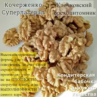Суперскороплодные саженцы грецкого ореха